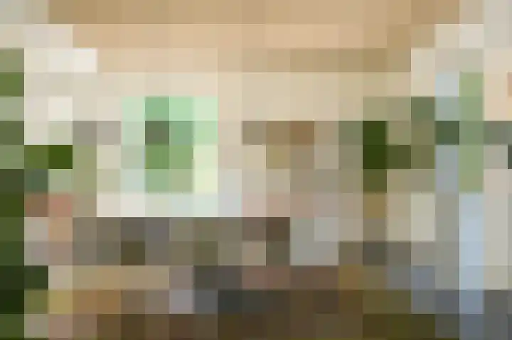 Waalbandijk 21 Neerijnen thumbnail 9