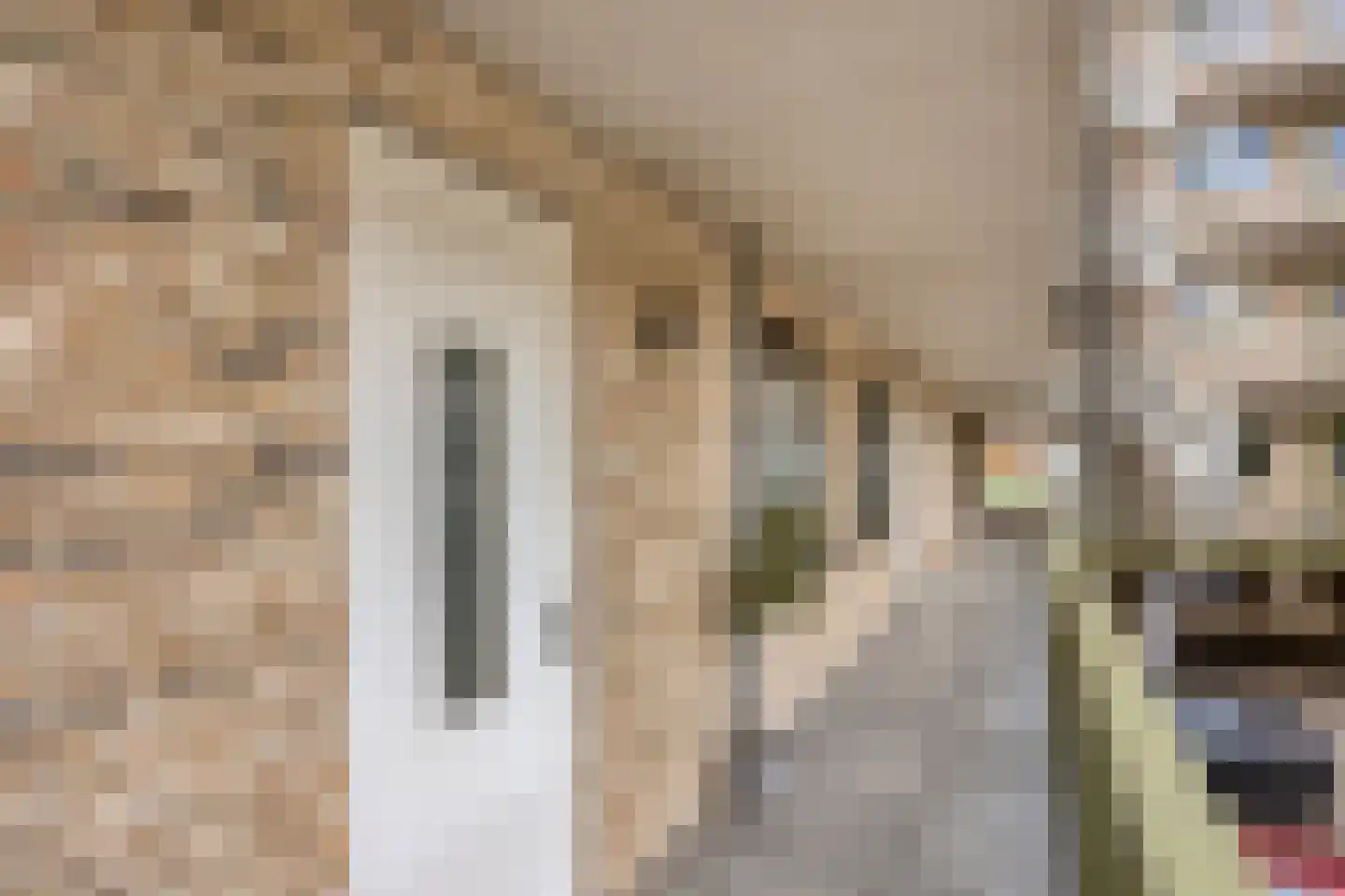 Waalbandijk 219 Nijmegen thumbnail 7