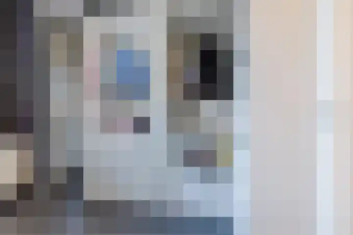 Waalbandijk 247 Nijmegen thumbnail 31
