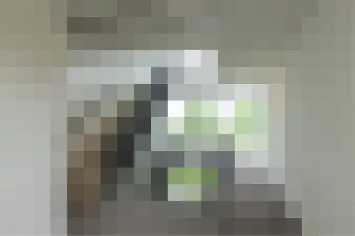 Waalbandijk 247 Nijmegen thumbnail 6