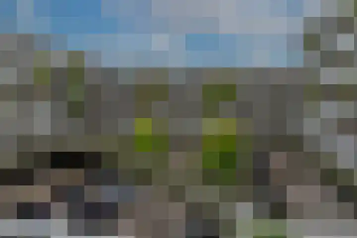 Waalbandijk 253 Nijmegen thumbnail 20