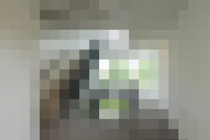 Waalbandijk 253 Nijmegen thumbnail 21