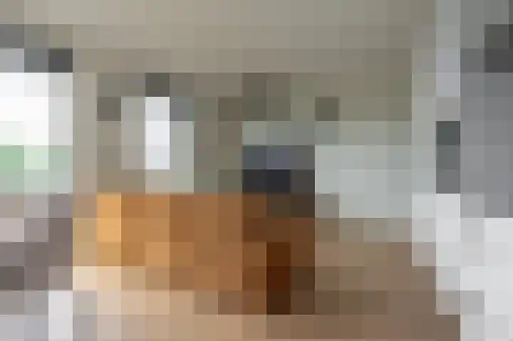 Waalbandijk 253 Nijmegen thumbnail 4
