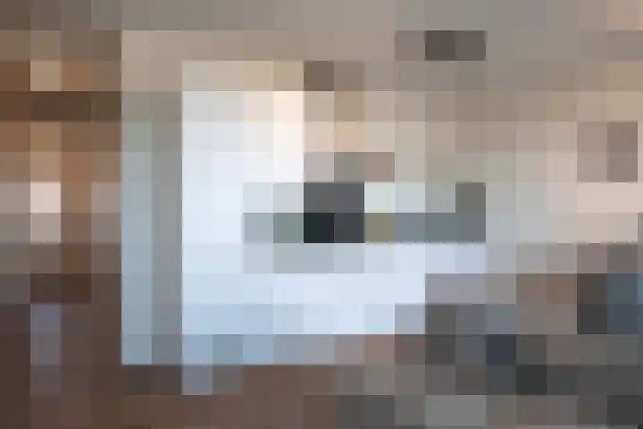 Waalbandijk 277 Nijmegen thumbnail 8