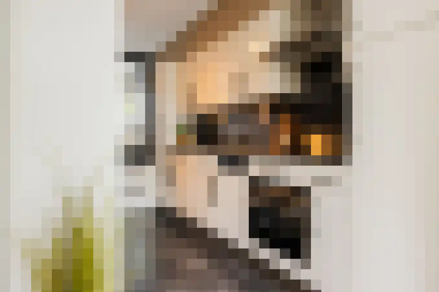 Waalbandijk 28 Gameren thumbnail 10