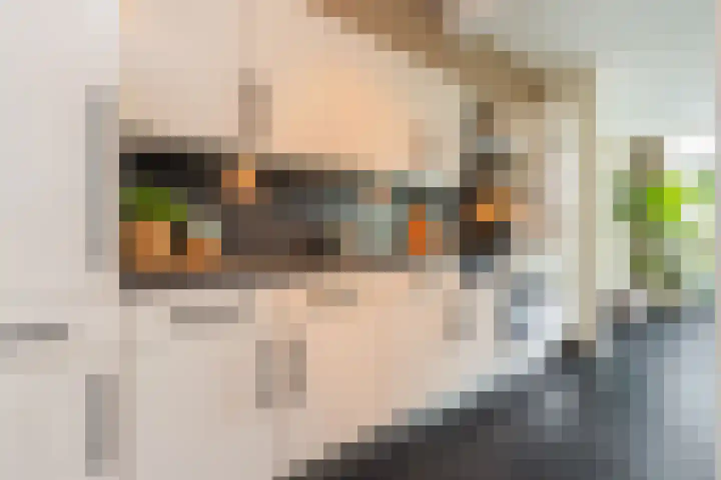 Waalbandijk 28 Gameren thumbnail 11