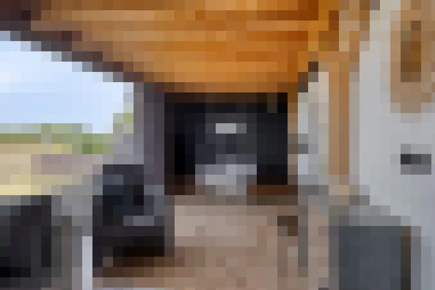 Waalbandijk 28 Gameren thumbnail 15