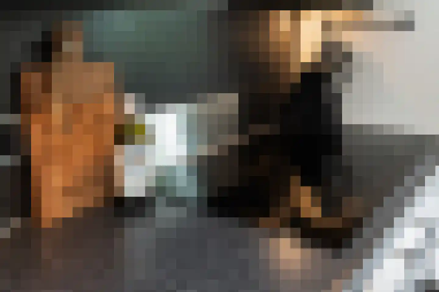 Waalbandijk 28 Gameren thumbnail 17