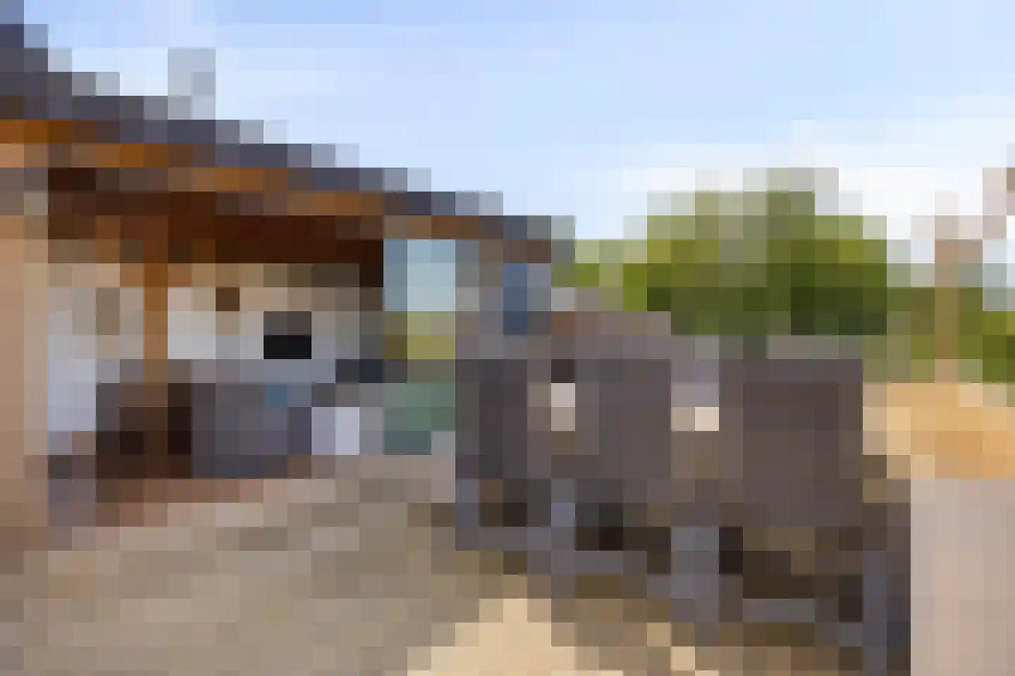 Waalbandijk 28 Gameren thumbnail 17