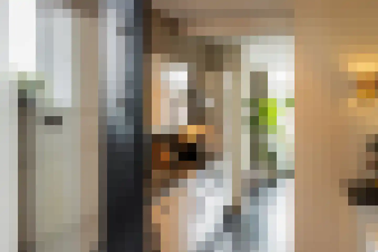 Waalbandijk 28 Gameren thumbnail 19