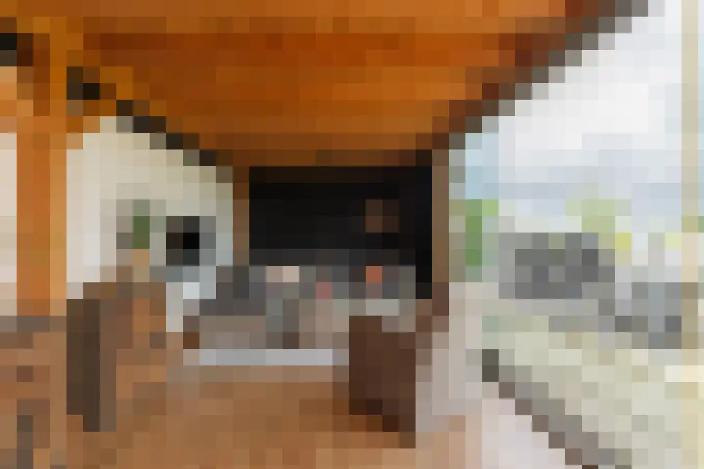 Waalbandijk 28 Gameren thumbnail 25