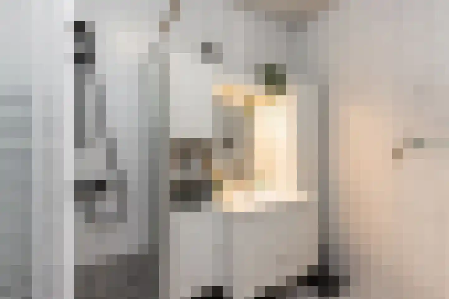Waalbandijk 28 Gameren thumbnail 35