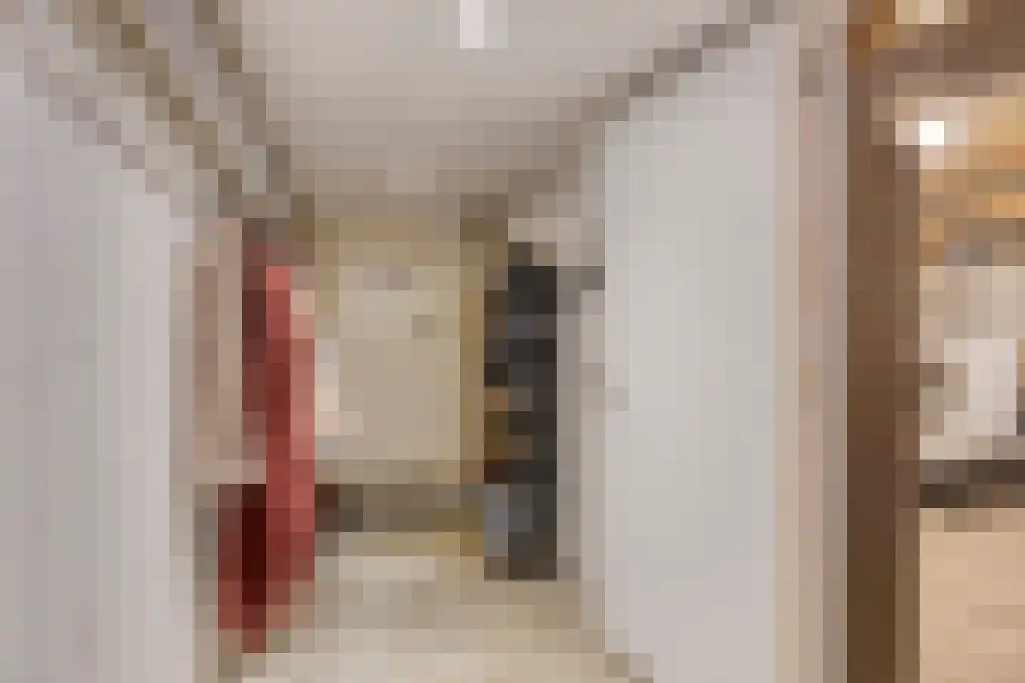 Waalbandijk 28 Gameren thumbnail 36