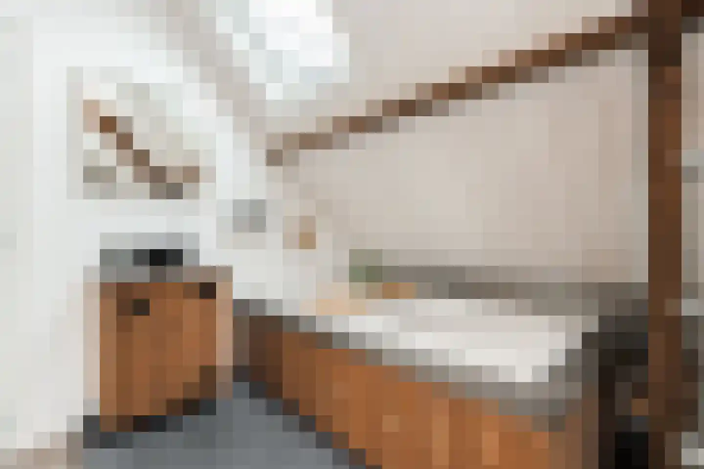 Waalbandijk 28 Gameren thumbnail 44