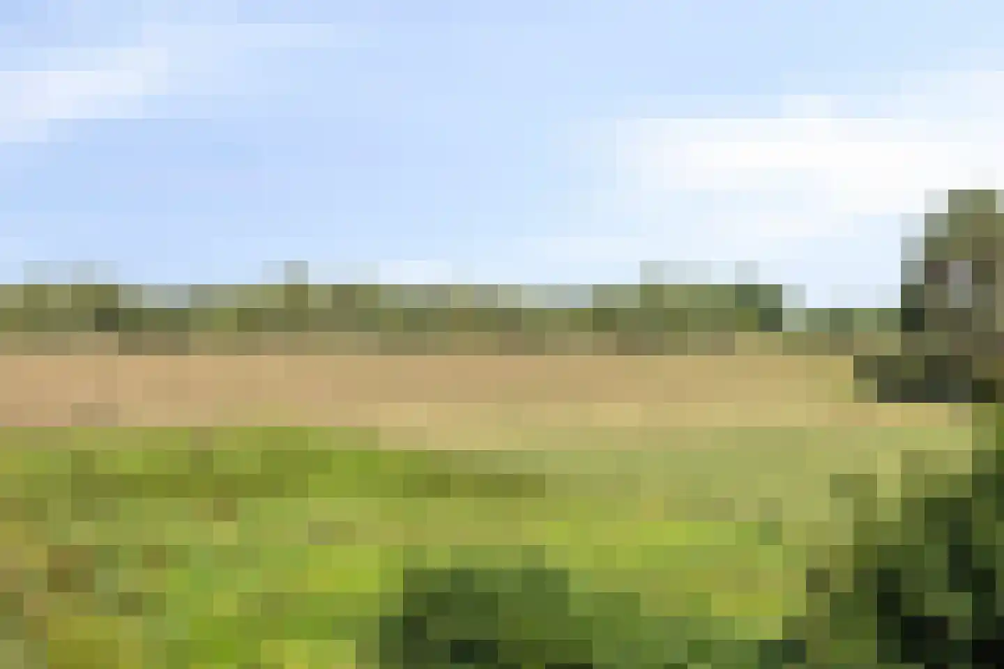 Waalbandijk 28 Gameren thumbnail 46