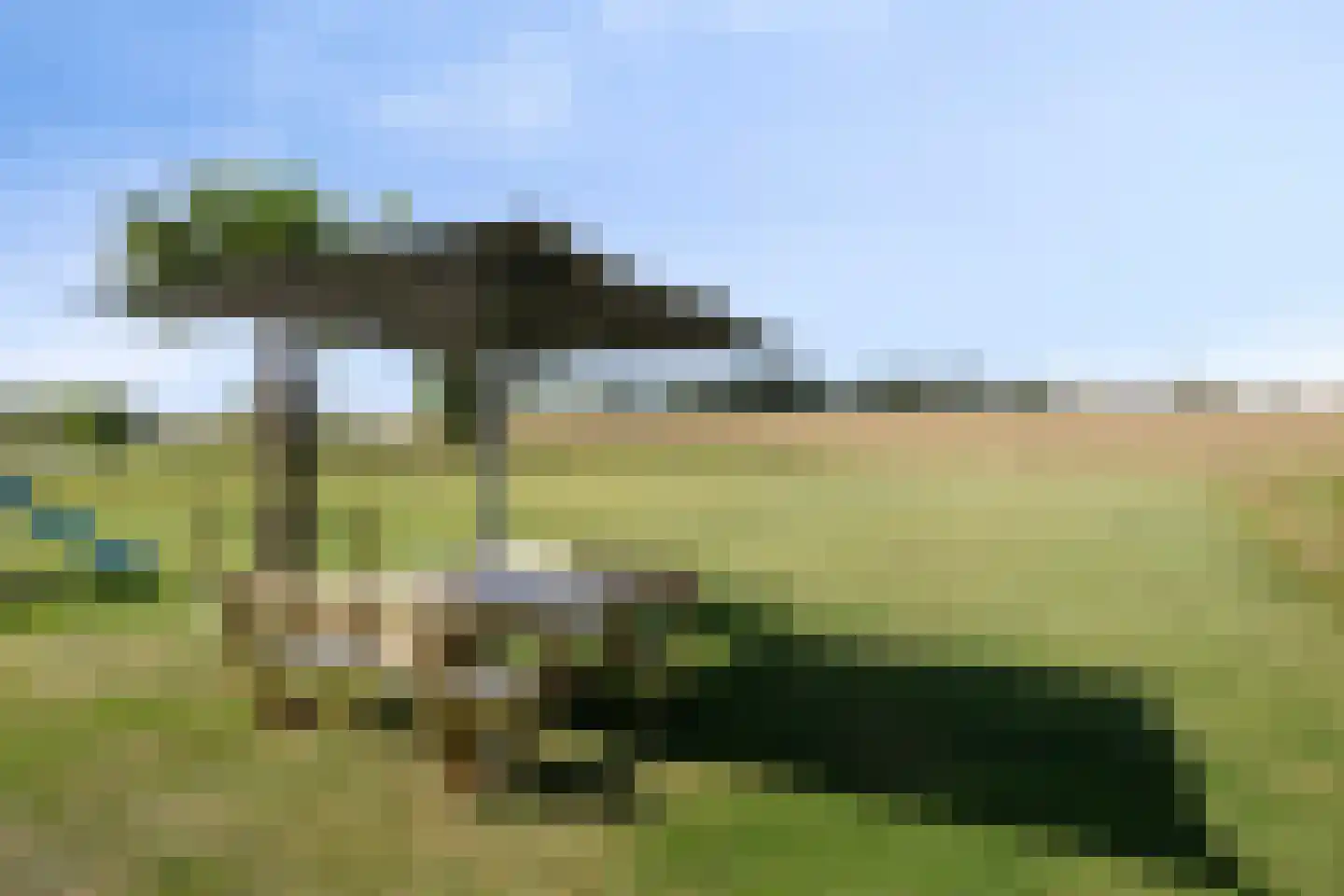 Waalbandijk 28 Gameren thumbnail 47