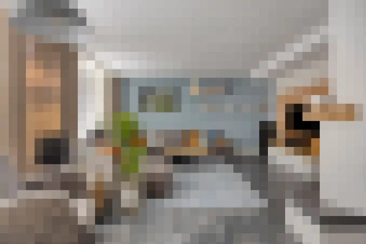 Waalbandijk 28 Gameren thumbnail 5