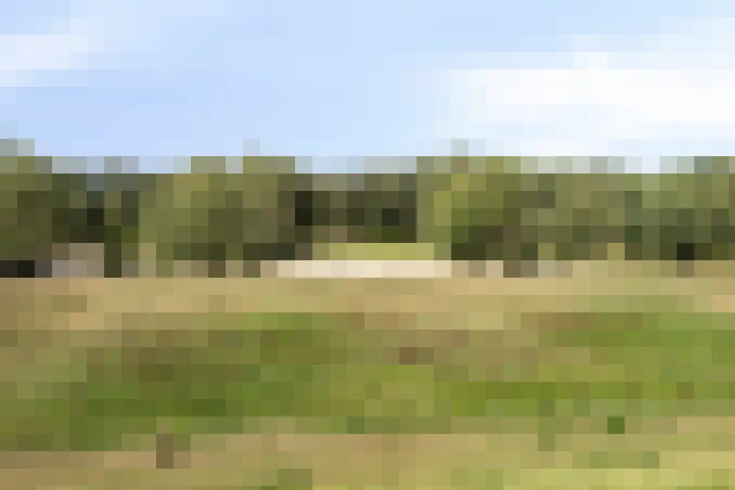 Waalbandijk 28 Gameren thumbnail 55