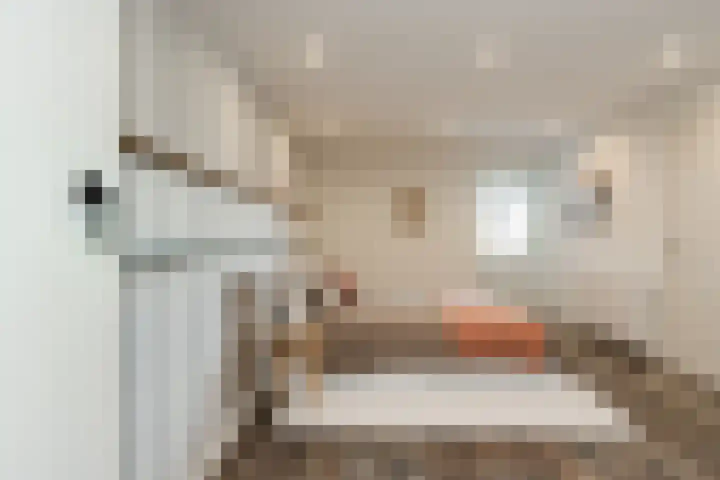 Waalbandijk 28 Gameren thumbnail 56