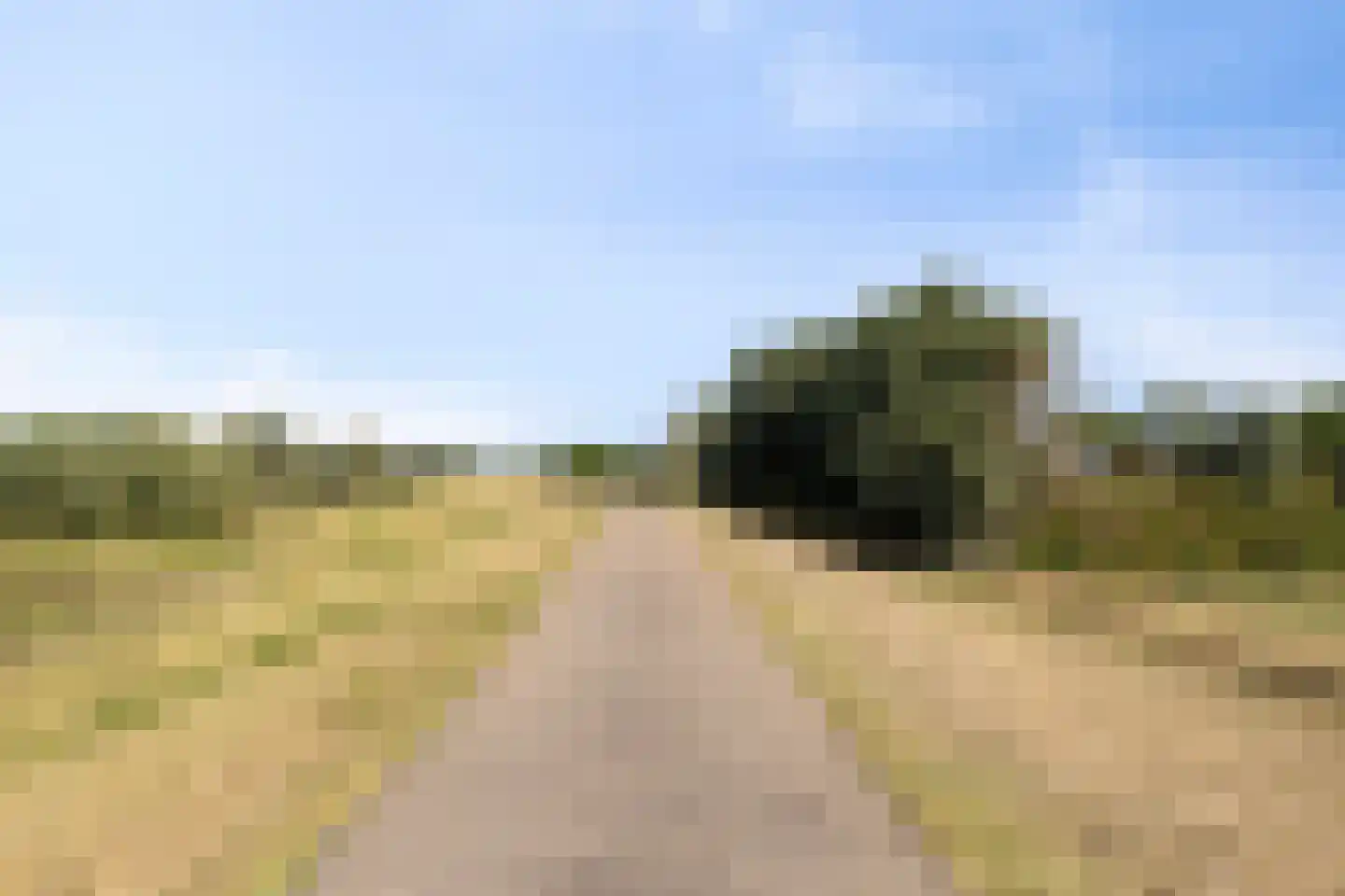 Waalbandijk 28 Gameren thumbnail 56