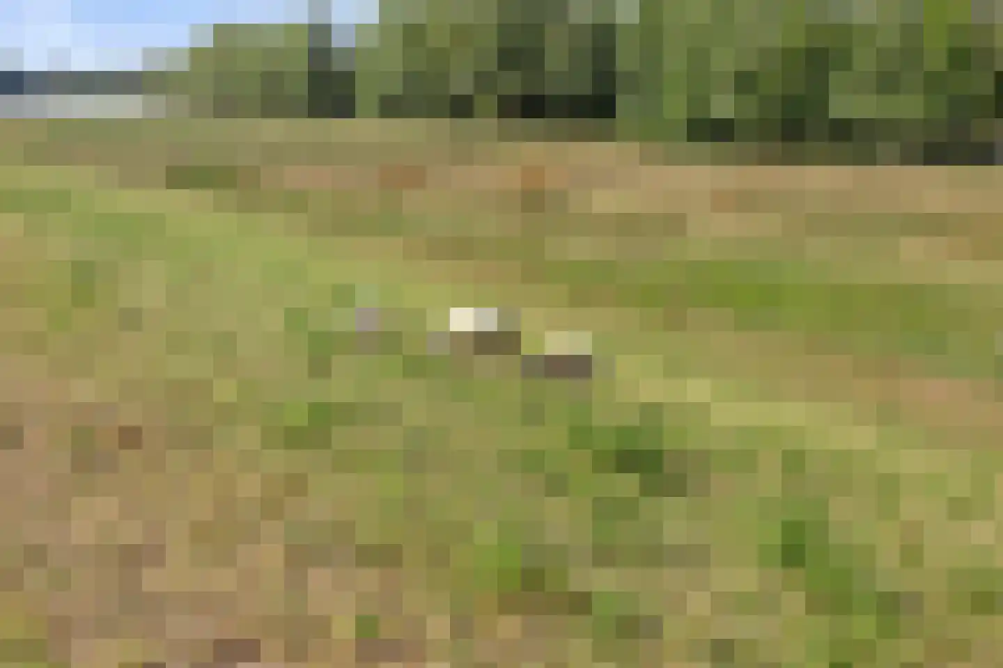 Waalbandijk 28 Gameren thumbnail 57