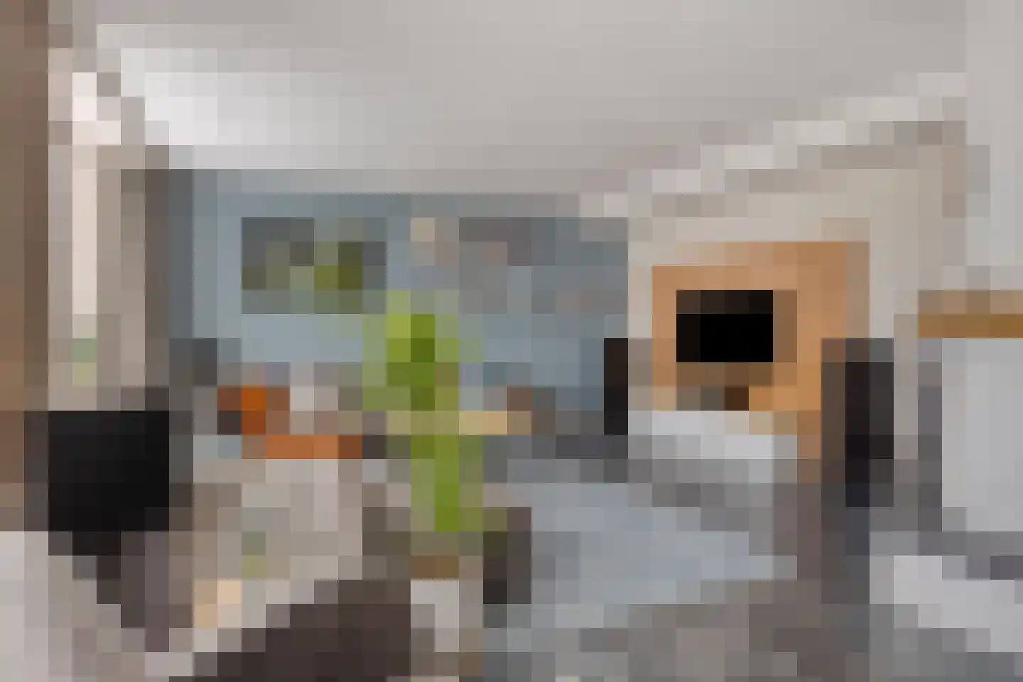 Waalbandijk 28 Gameren thumbnail 6