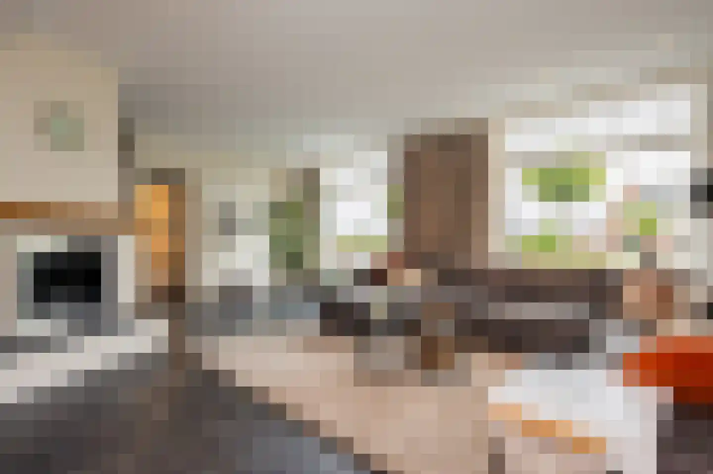 Waalbandijk 28 Gameren thumbnail 6