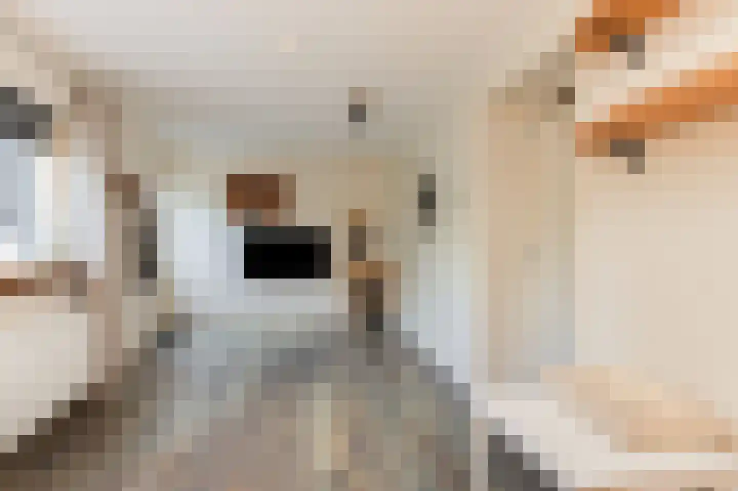 Waalbandijk 28 Gameren thumbnail 60