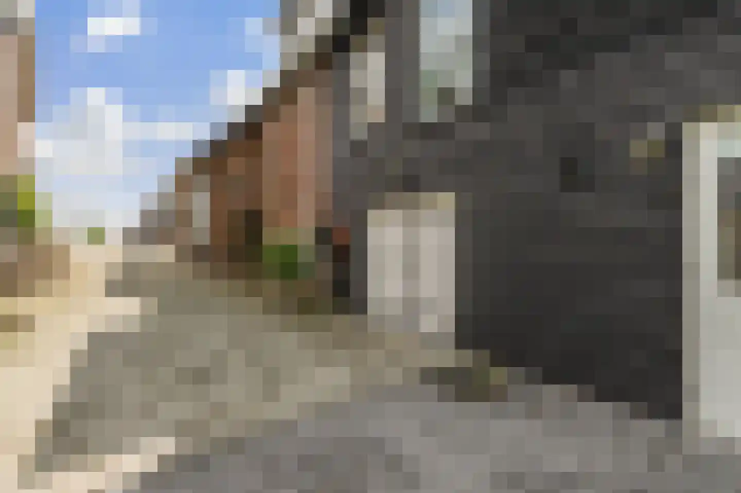 Waalbandijk 28 Gameren thumbnail 62