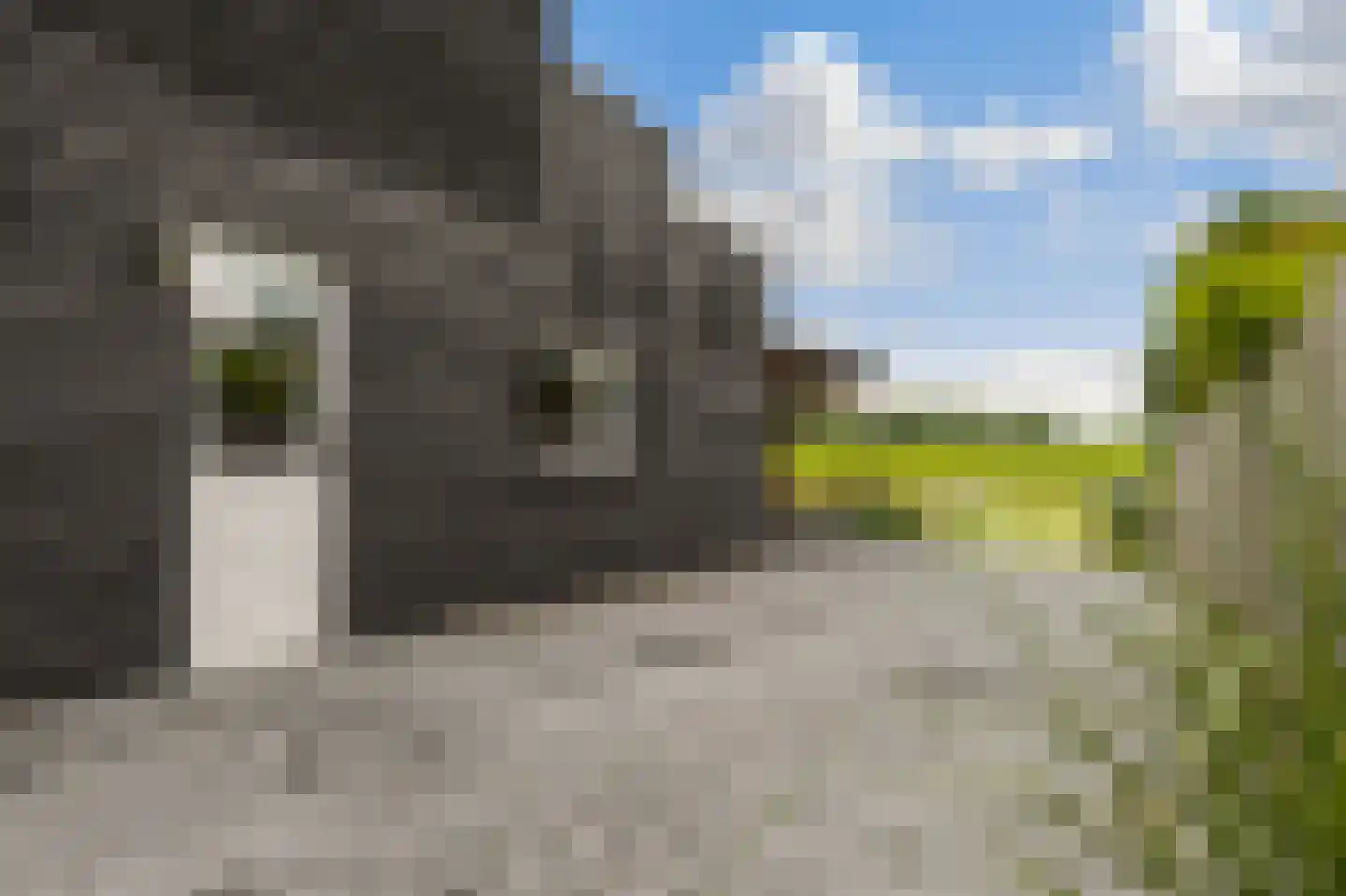 Waalbandijk 28 Gameren thumbnail 63