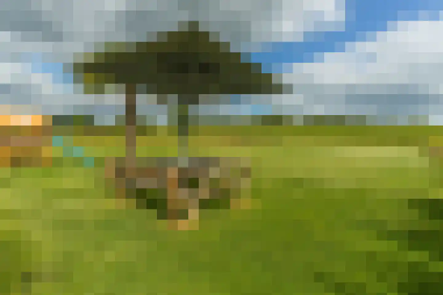 Waalbandijk 28 Gameren thumbnail 69
