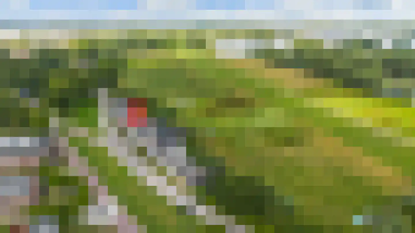 Waalbandijk 28 Gameren thumbnail 76