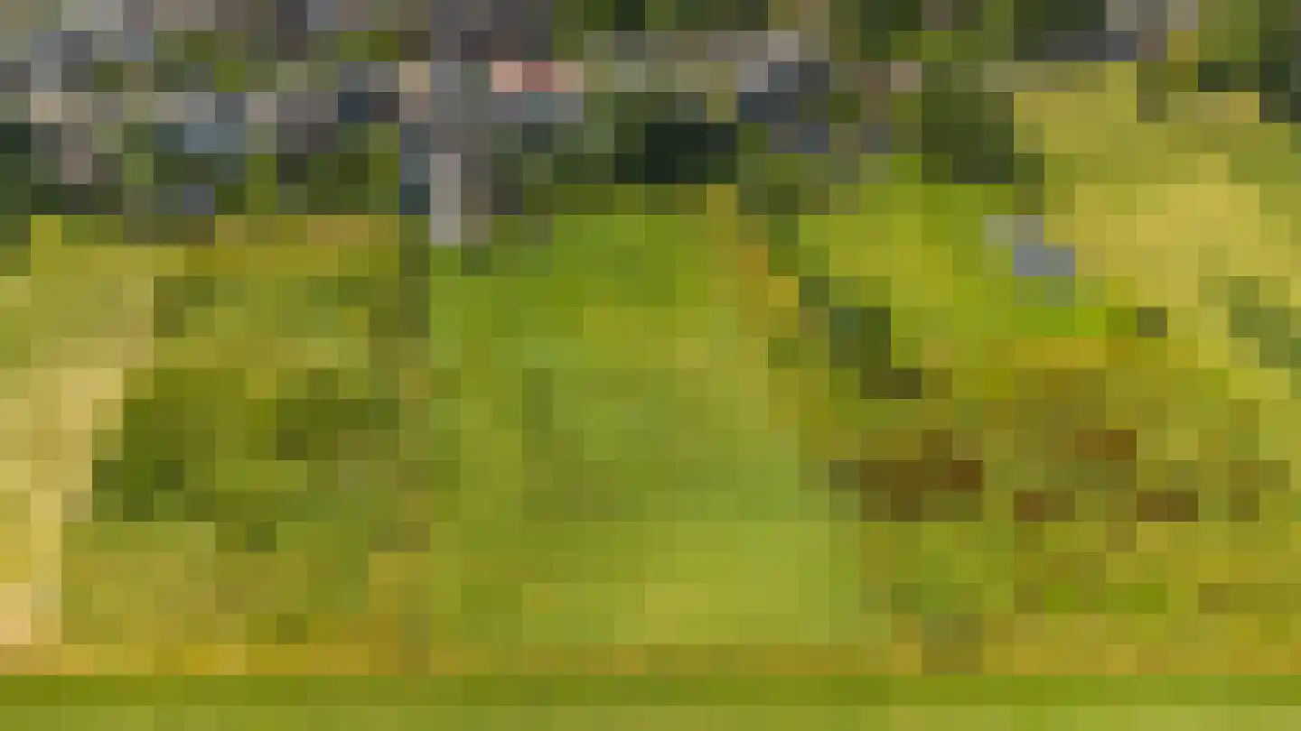 Waalbandijk 28 Gameren thumbnail 78