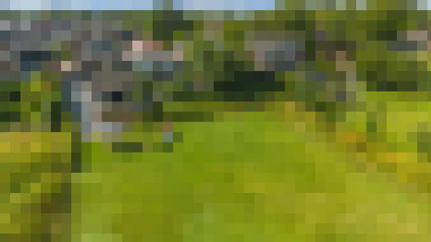Waalbandijk 28 Gameren thumbnail 79