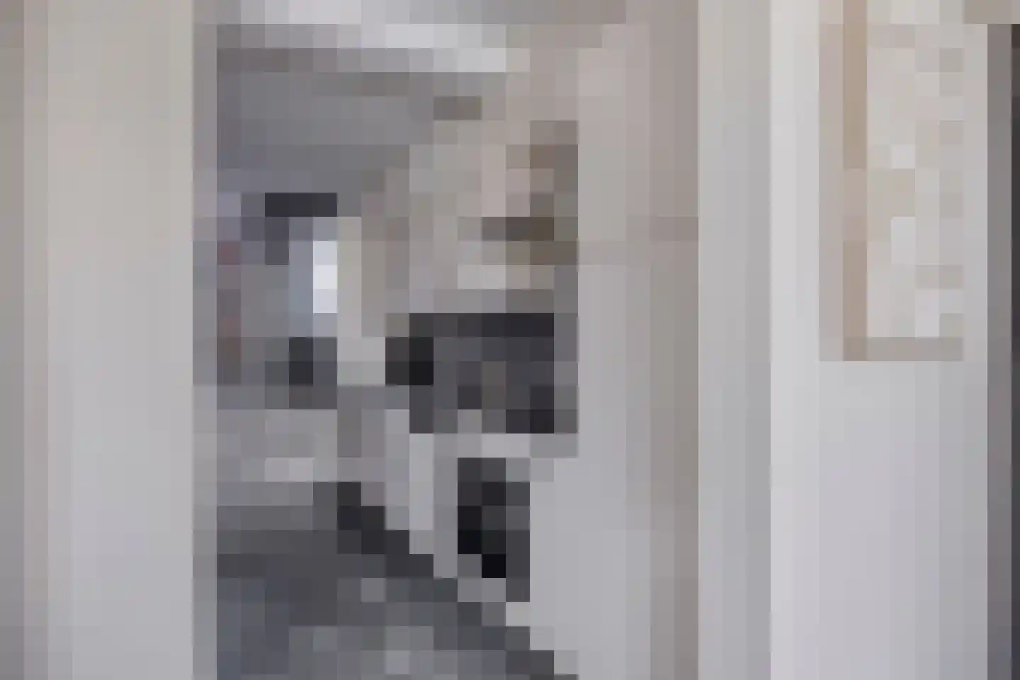 Waalbandijk 28 Gameren thumbnail 8