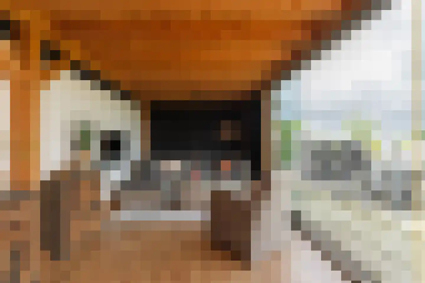 Waalbandijk 28 Gameren thumbnail 9