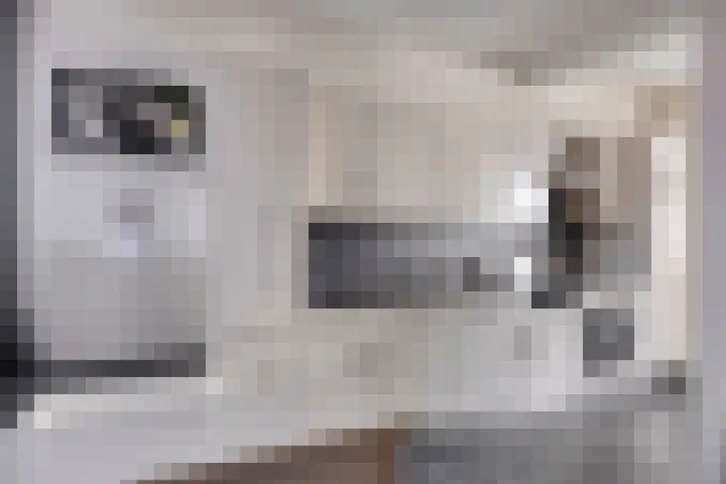 Waalbandijk 28 Gameren thumbnail 9
