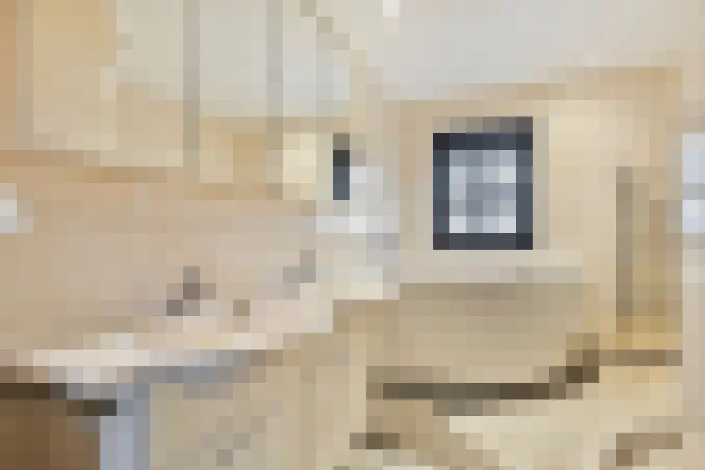 Waalbandijk 29 Ochten thumbnail 22