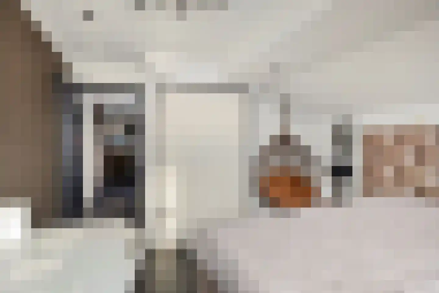 Waalbandijk 29 Ochten thumbnail 26