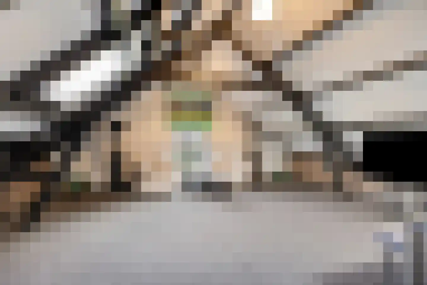 Waalbandijk 29 Ochten thumbnail 29