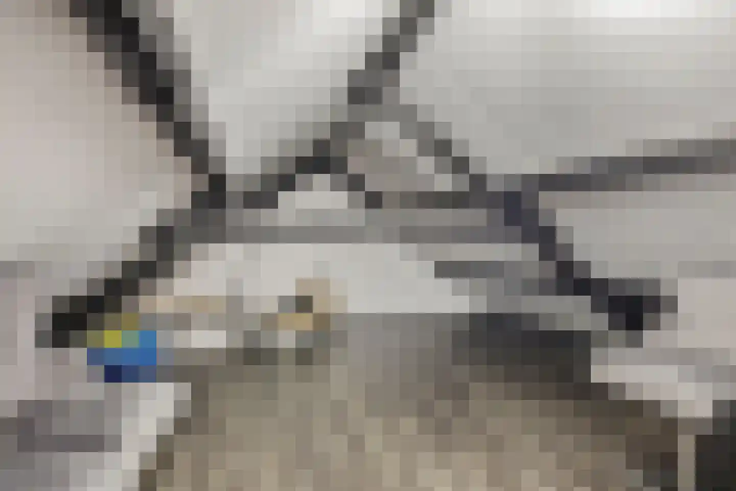 Waalbandijk 29 Ochten thumbnail 35