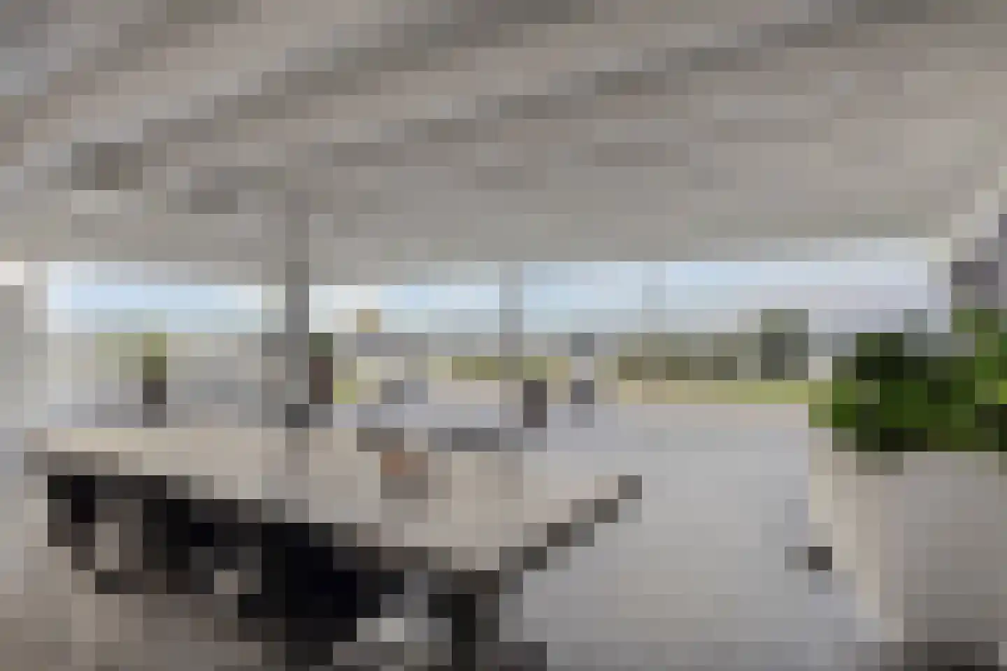 Waalbandijk 29 Ochten thumbnail 5