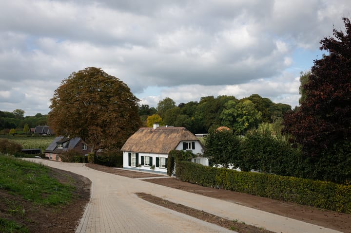 Waalbandijk 31 in Neerijnen Foto