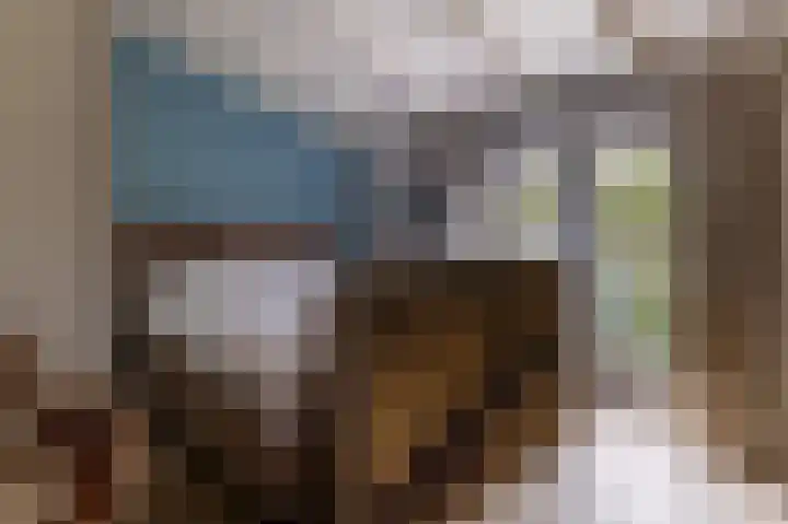 Waalbandijk 31 Neerijnen thumbnail 16