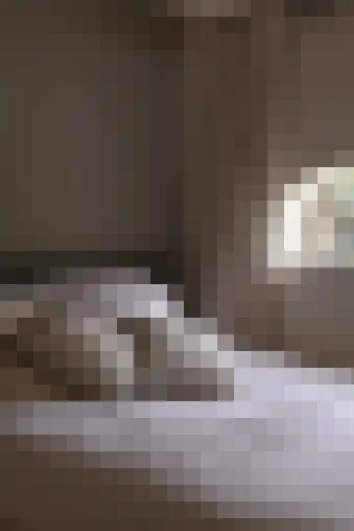 Waalbandijk 31 Neerijnen thumbnail 20