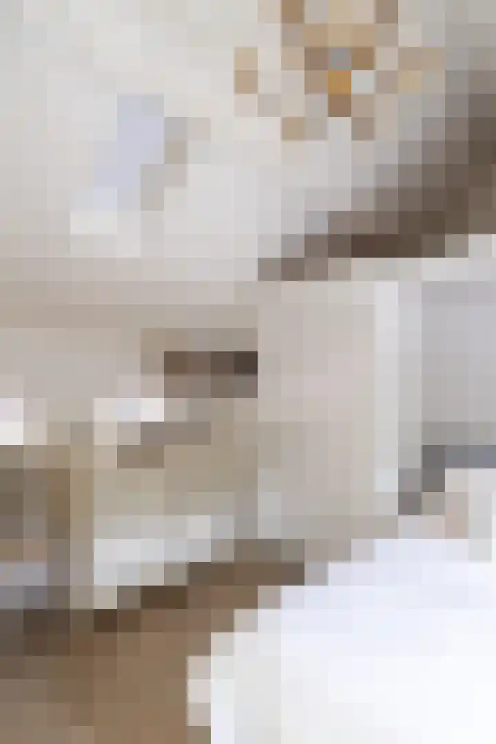 Waalbandijk 31 Neerijnen thumbnail 21