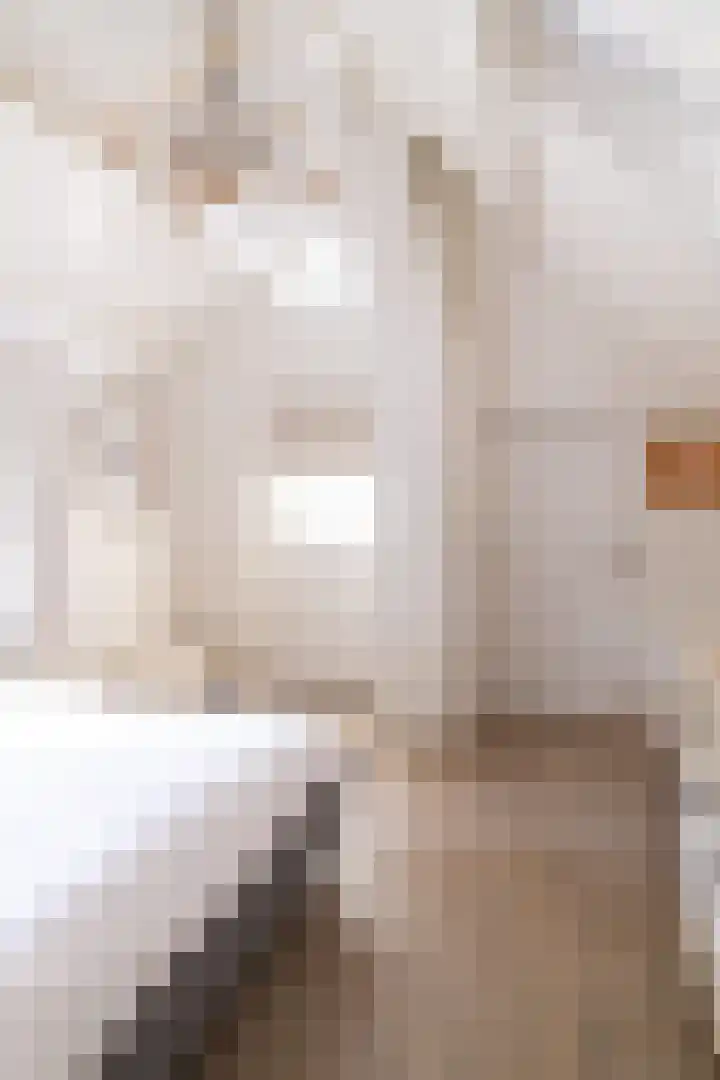 Waalbandijk 31 Neerijnen thumbnail 22