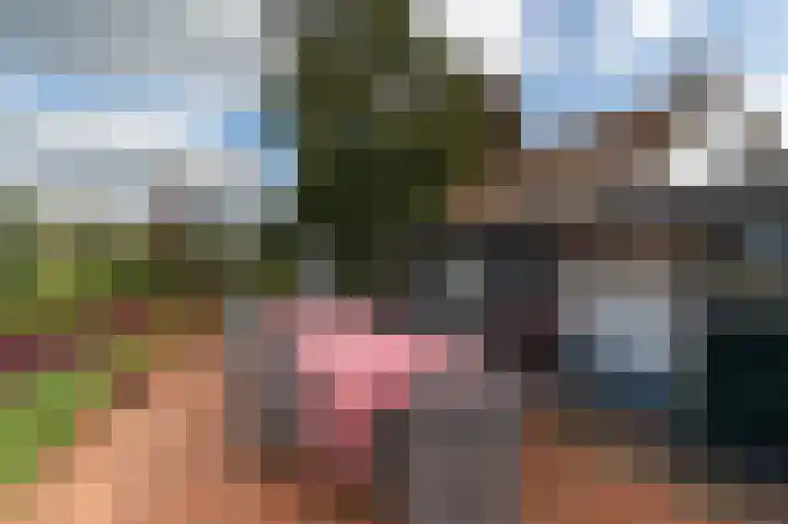 Waalbandijk 31 Neerijnen thumbnail 24