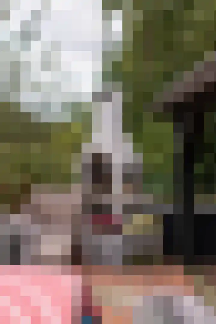 Waalbandijk 31 Neerijnen thumbnail 25
