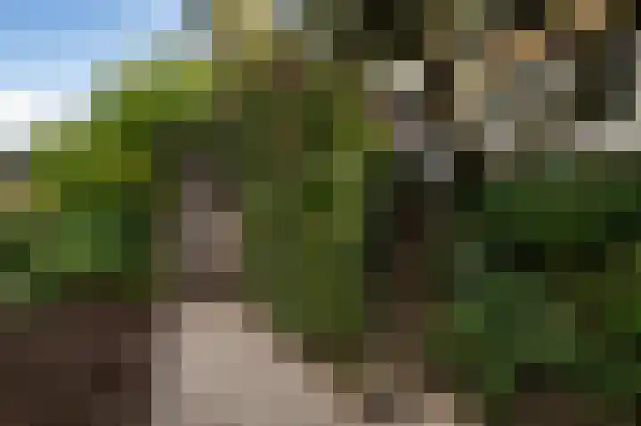 Waalbandijk 31 Neerijnen thumbnail 26